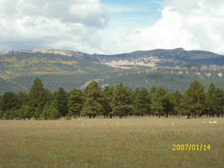 The great out doors Northn NM