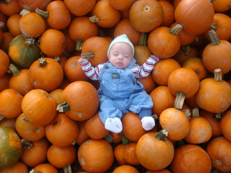 James and the pumpkin patch