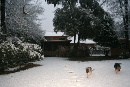 Charleston snowfall