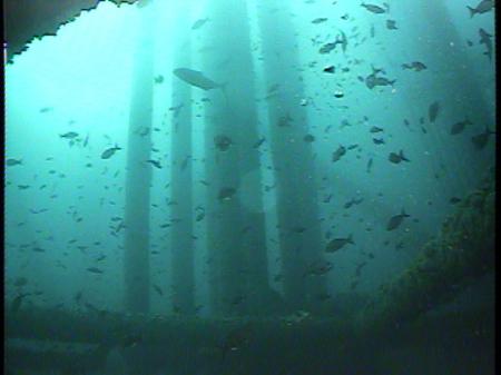 looking up at the conductor bay from -160 ft