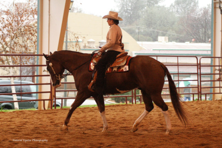 El Dorado Horse Show Sept.2009