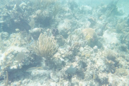 bahama vacation 2003