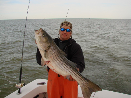 early november striper season 2009