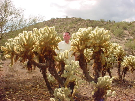 CDW and the cacti