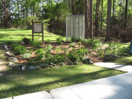 Joyce Carter Memorial Butterfly Garden