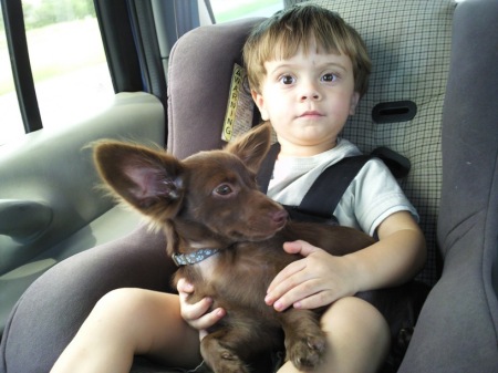 Xander & puppy riding in SUV.