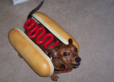 I'll have ketchup on my dog!!