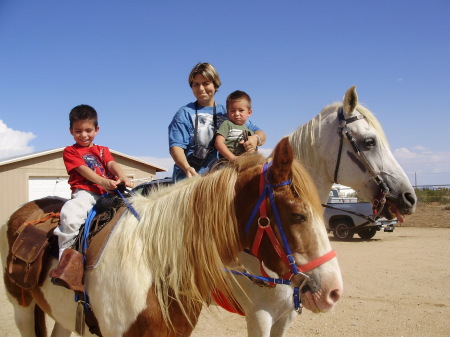 cowboys and cowgirl