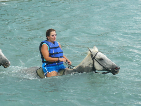 Swimming Horses in Jamaica