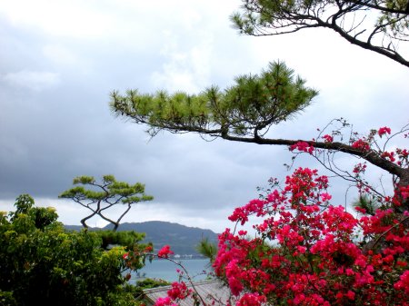 Okinawa View