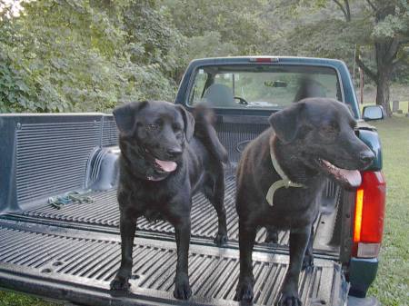 Brittney and Boa ready to go for a hike