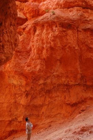 My son Anil in Red Rocks of Utah