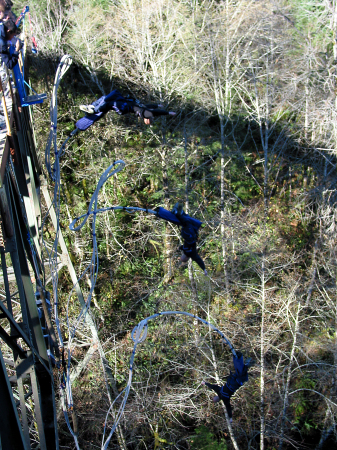 Bungee over Battle ground Washinton