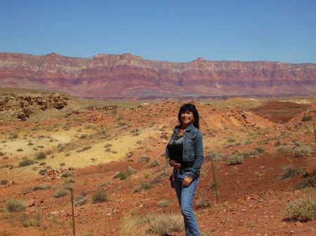 Vermillion Cliffs