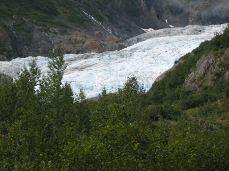 Exit Glacier