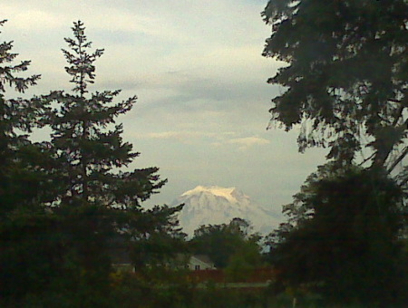 View of the Mountain