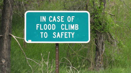 Climb To Safety????????