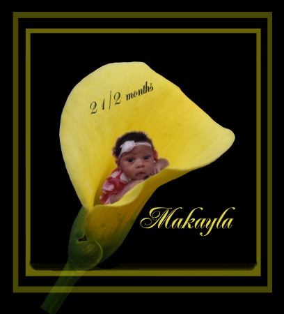 Makayla our newest addition