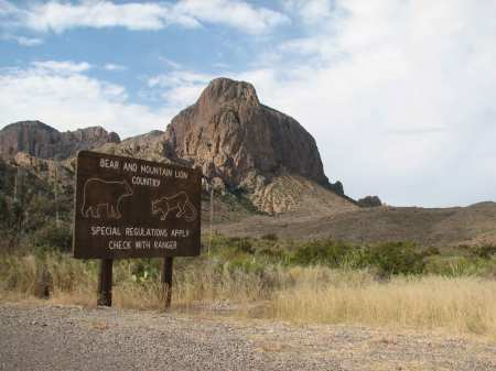 Beware of Bear and Mountain lion sign