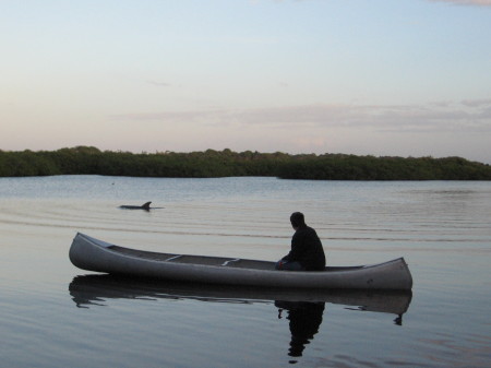 Canoeing with a dolphin on the Braden River