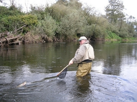 Flyfishing for Trout