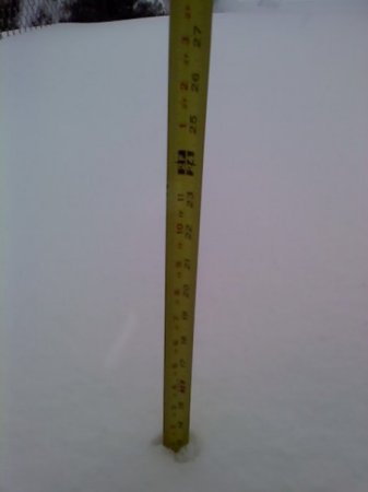 Little over a foot of snow