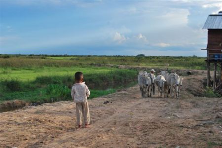 Near Ton Le Sap, Cambodia, July 09...