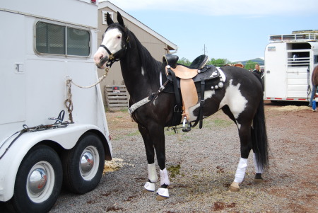 Flirt is her barn name