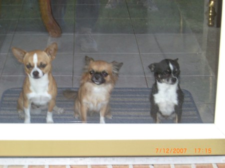 Chesney with Mom and Brother