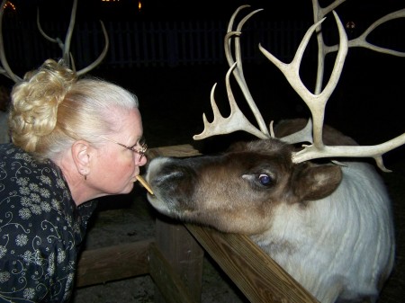 Reindeer Kisses