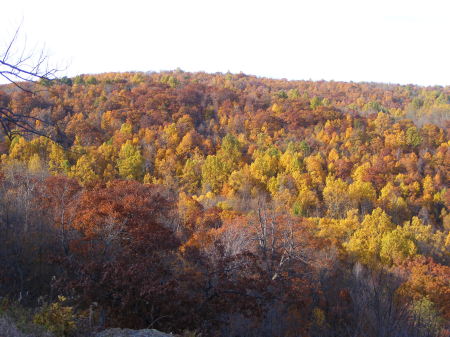 Skyline Drive