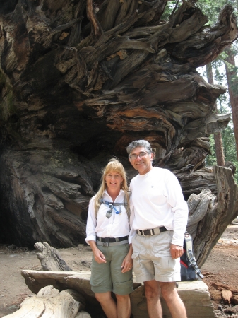 Mariposa Grove, Yosemite August 2009