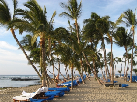 Beach at Mauna Lani