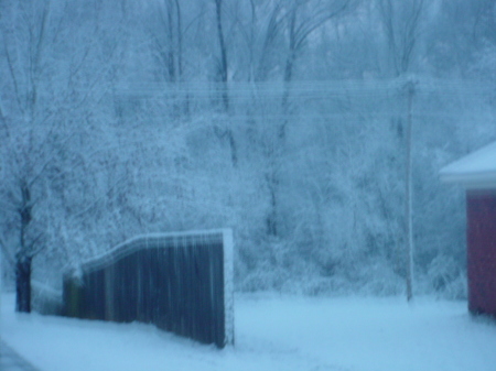 Snow February 2010 008