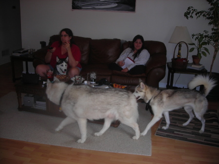 daughters and the huskys