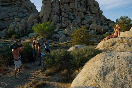 Joshua Tree