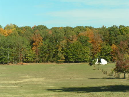 Fall at the Byrd  Farm