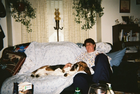 Our Basset Hound, Romeo, and Me