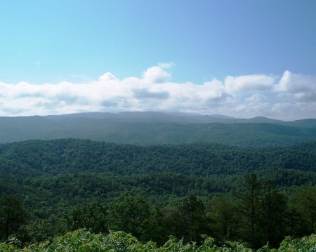 Smoky Mountains - Foothills