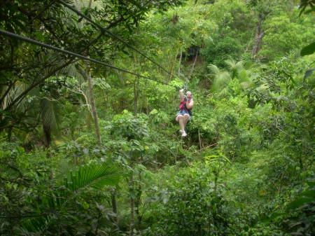 Tropical Rainforest Zipline