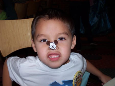 Disneyland 2009