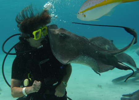 I get a Stingray kiss