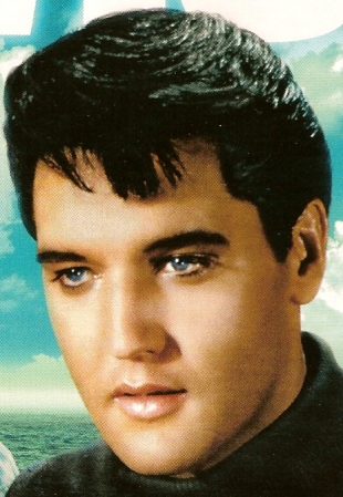 ELVIS