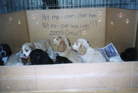 Zoey's Crew 8-11-2002
