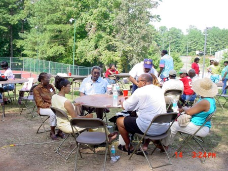 35th reunion picnic