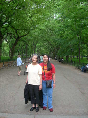 Elm Archway, The Mall, Central Park