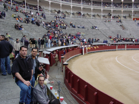 Bull Fight in Madrid, Spain