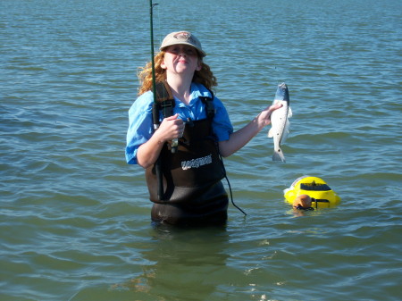 Spotted redfish