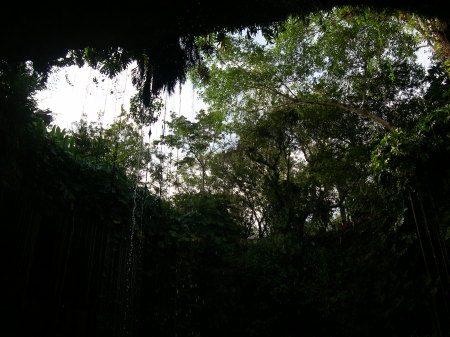 THE TOP OF THE CENOTE