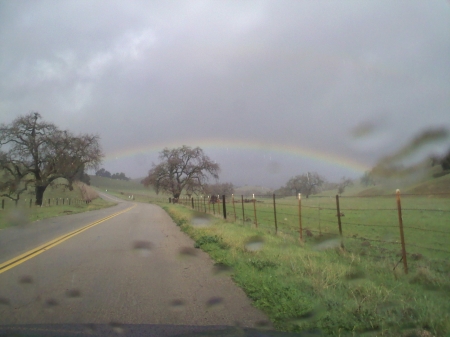 Rainbow in Central Wine Country